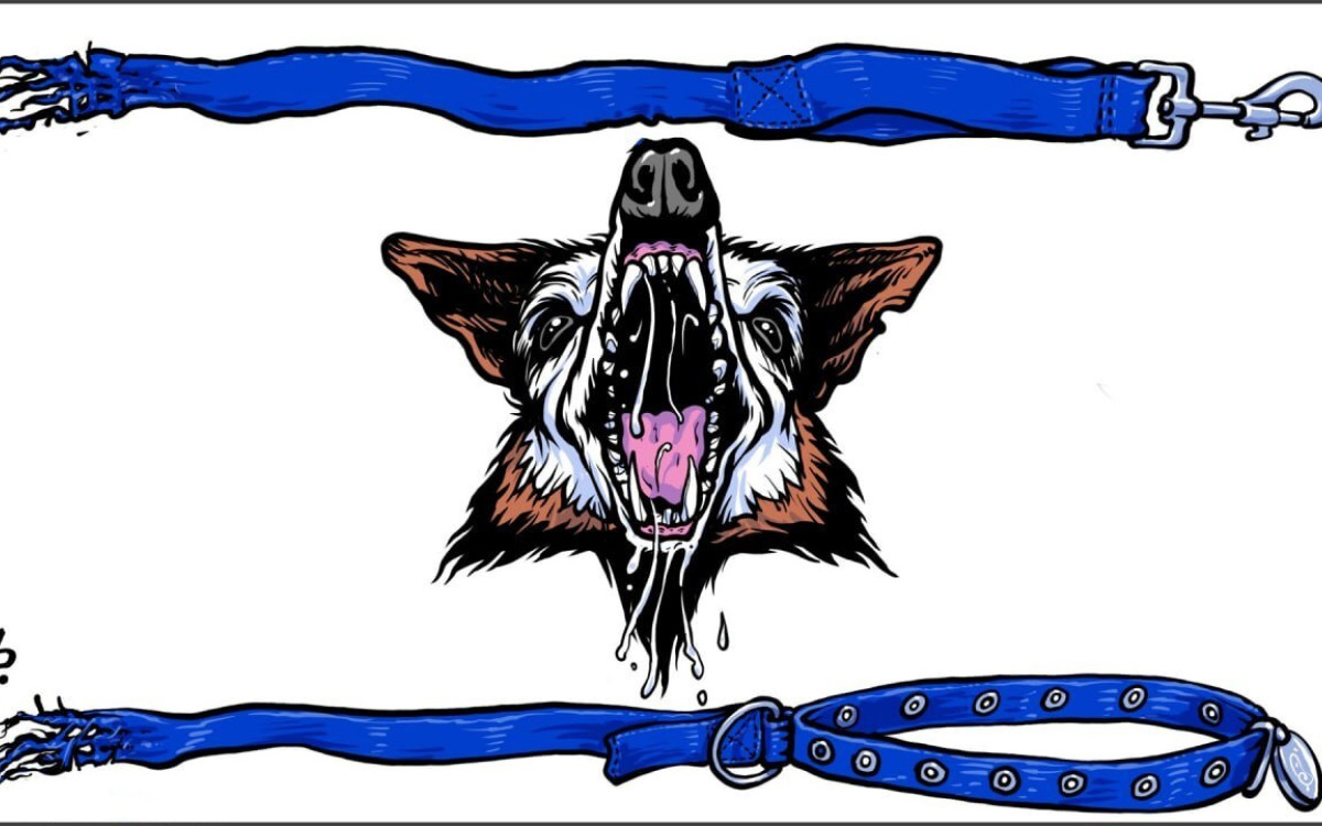 غزة صخرة ستفلق رأس نتنياهو